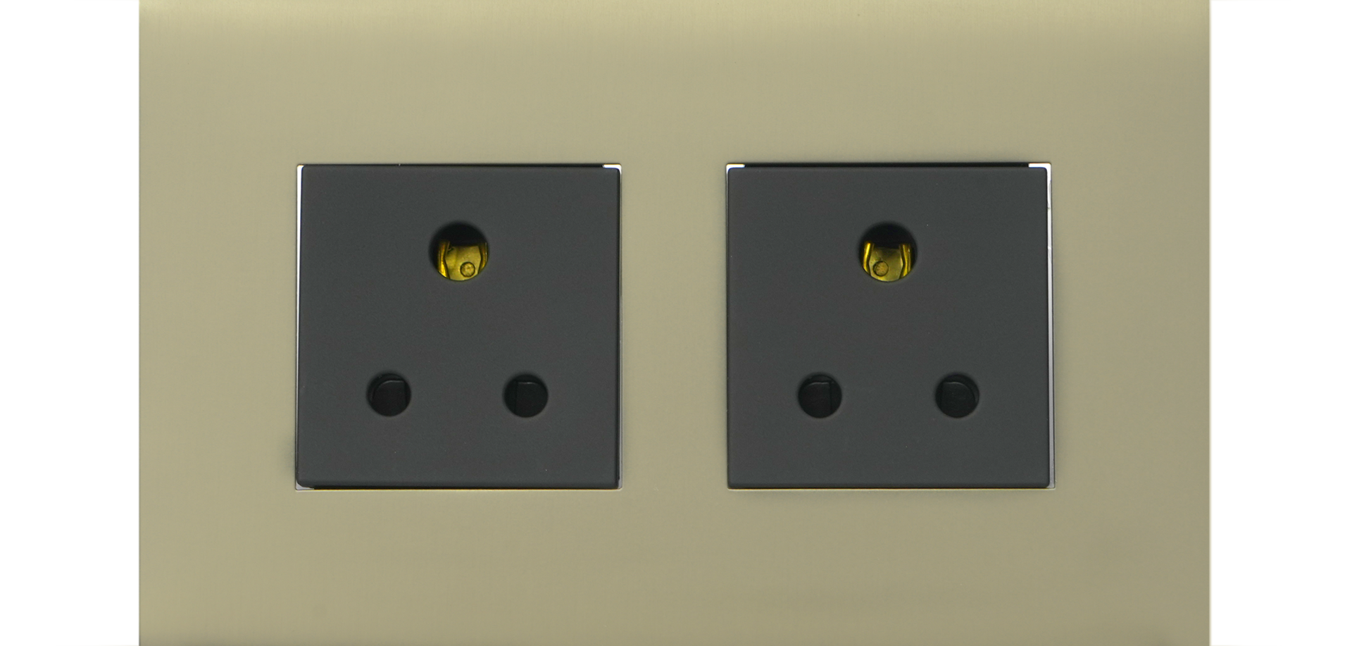 Faceplate & 2 Sockets